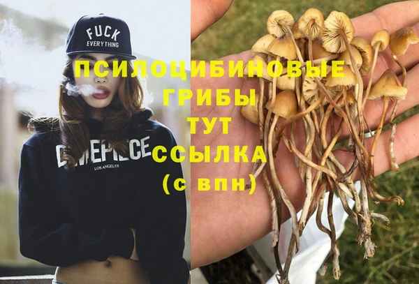 первитин Арсеньев
