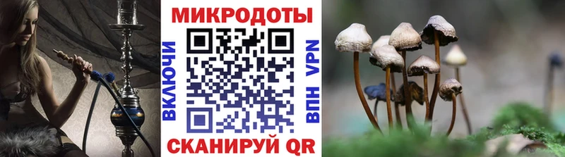закладки  Сортавала  Псилоцибиновые грибы Magic Shrooms 